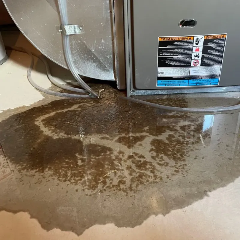 Pipe Burst and Leak Restoration in Canyon, TX