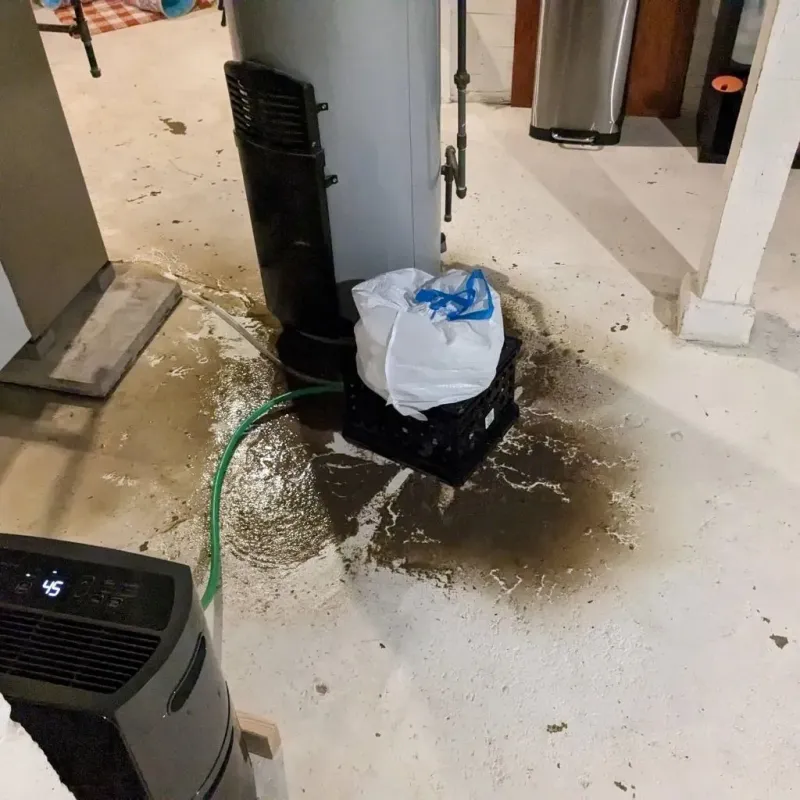 Sewage Backup Cleanup Service in Canyon, TX